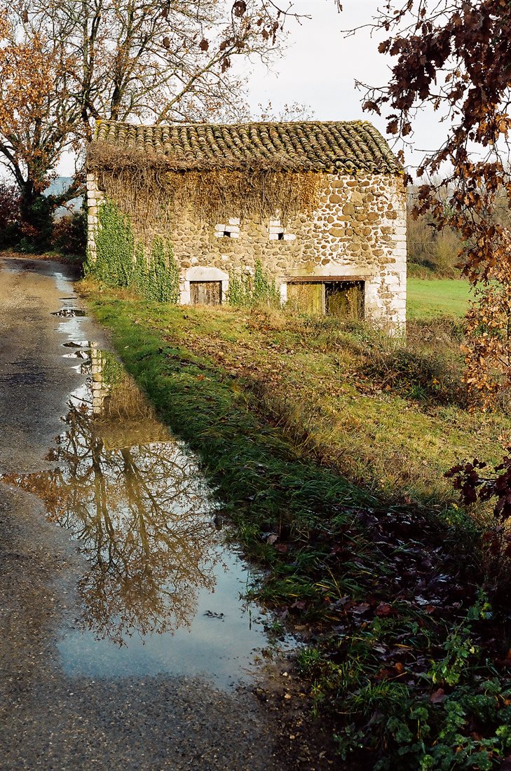 Ardèche, grange en gros galets ancienne en bord de route goudronnée, refletée dans une grande flaque d'eau, lumière chaude d'hiver, herbe verte, grand arbre sans feuilles en fond